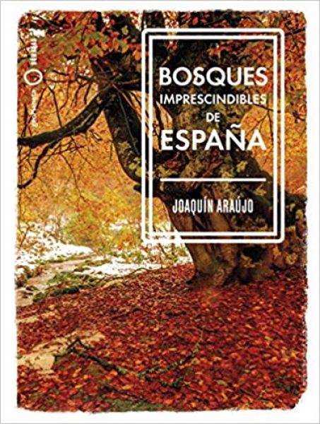 Bosques imprescindibles de España