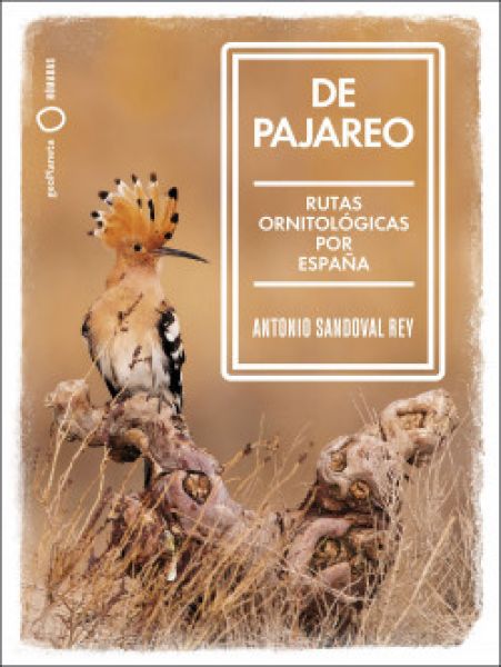 De Pajareo: rutas ornitológicas por España